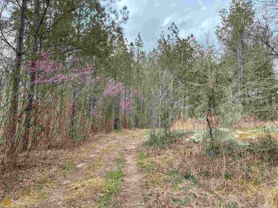 6133 Highway 15 S, Sparta, GA, 31087
