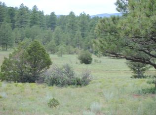 21 Roxi Rd, San Geronimo, NM 87701