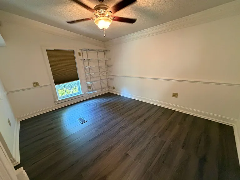 207 Big Tree Dr — Photo 15