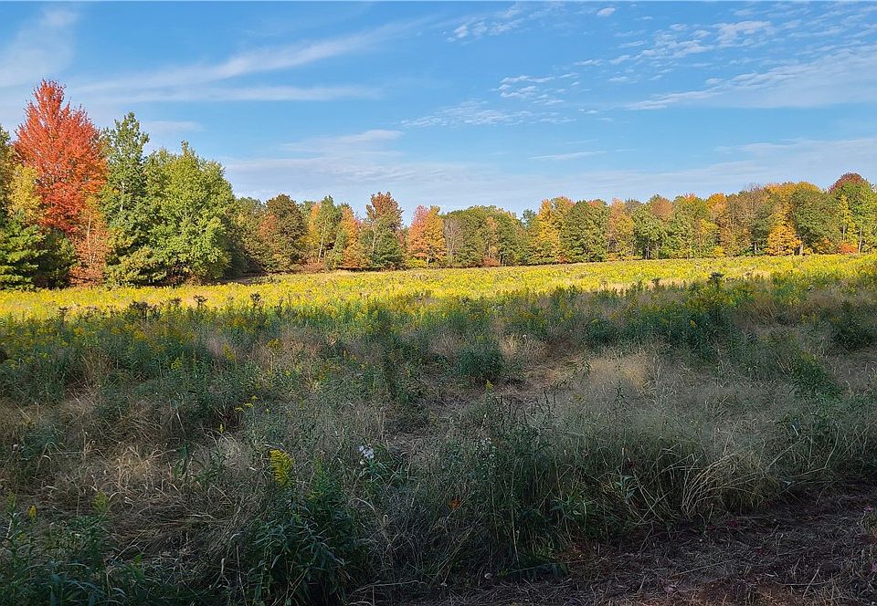 1st image of 000 Sawdust Rd