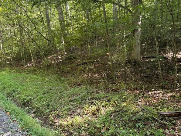 Thompson Rd, Hillsboro, WV 24946