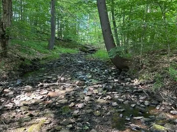 6228 State Route 55, Liberty, NY 12754