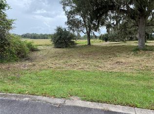 447 Long And Winding Rd, Howey In The Hills, FL 34737