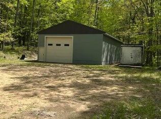 8047 W 10 1/2 Mile Rd, Irons, MI 49644