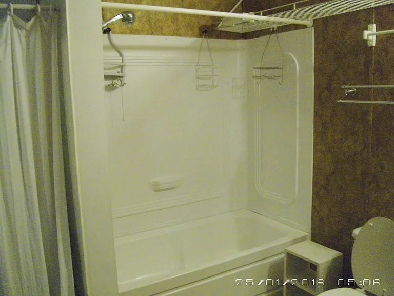 tub with shower