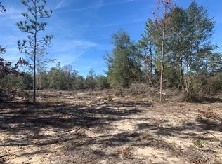 0 Tom Martin Rd, Defuniak Springs, FL 32433