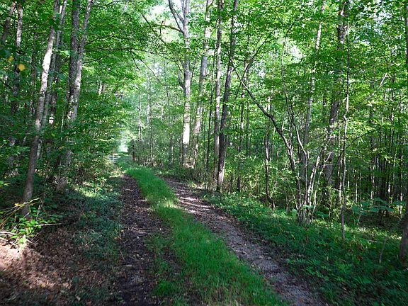 5th image of LOT 1 Deep Hollow Rd