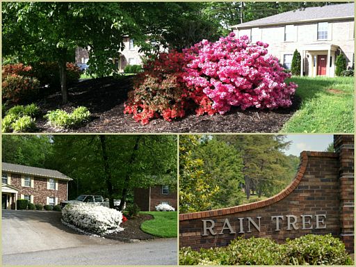 1st image of 627 Rain Forest Dr APT D
