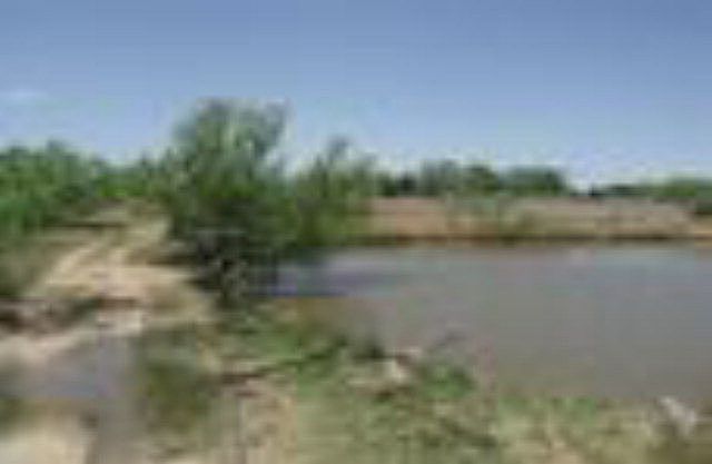 1st image of 0 Fm 383 #Ab-1293