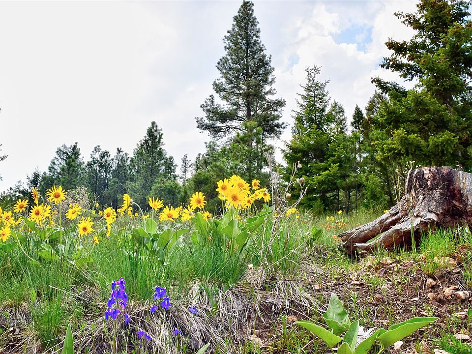 151 Bear Tracks Rd, Drummond, MT 59832 MLS 22216445 Zillow