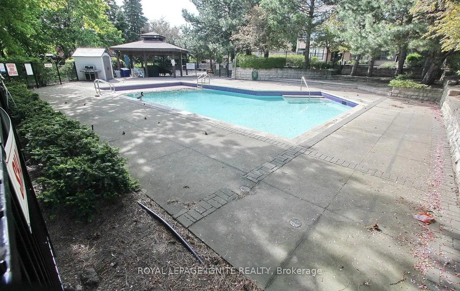 3 bed, $3,100 — Photo 4