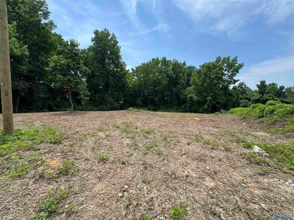 LOT George Wallace Dr E, Rainsville, AL 35986