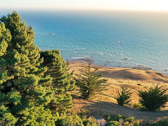 48th image of this home