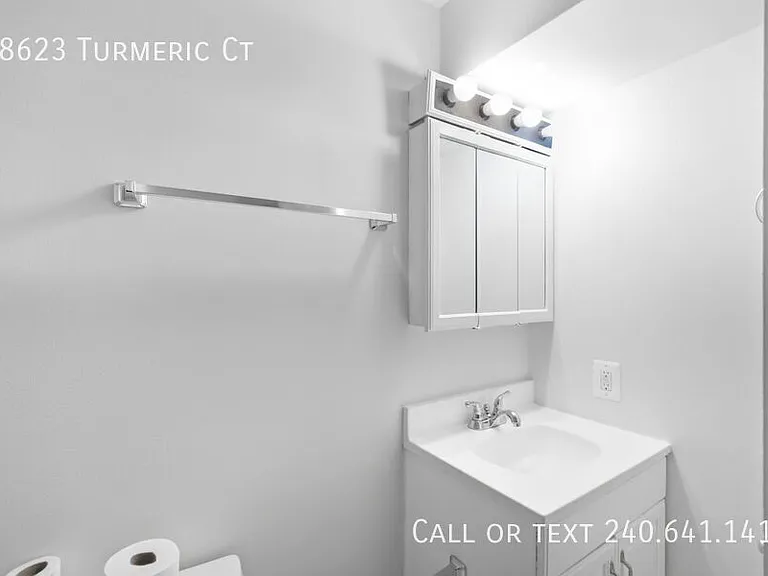18623 Turmeric Ct — Photo 25