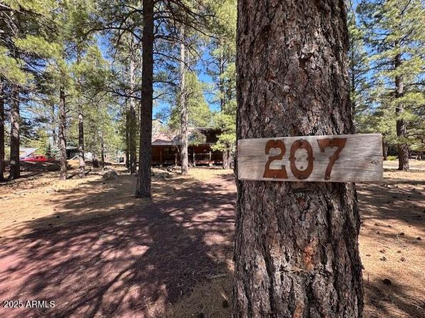 207 Blue Ridge Rd, Mormon Lake, AZ 86038