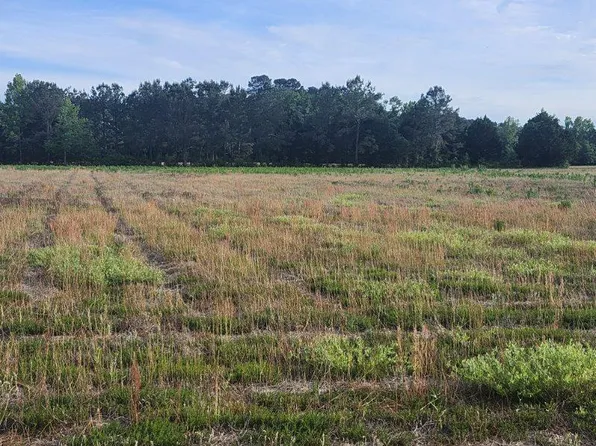 0 Broxton Bridge Rd, Bamberg, SC 29003