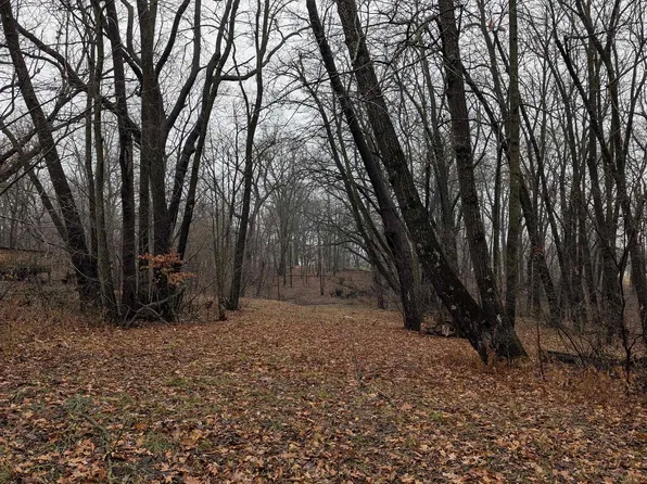 439 Lockwood Rd, Davis, IL 61019