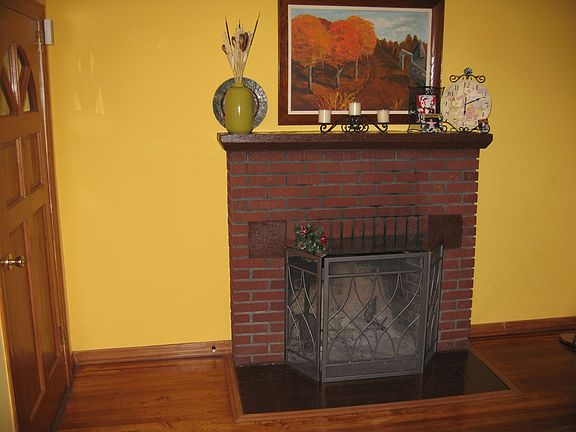 Wood Burning FirePlace