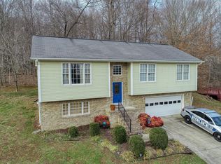 514 Old Village Ct, Church Hill, TN 37642