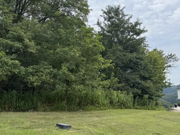 0 Shayna Ct Lot 9, Smithville, TN 37166