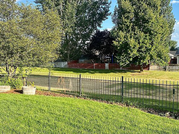 Backyard2
