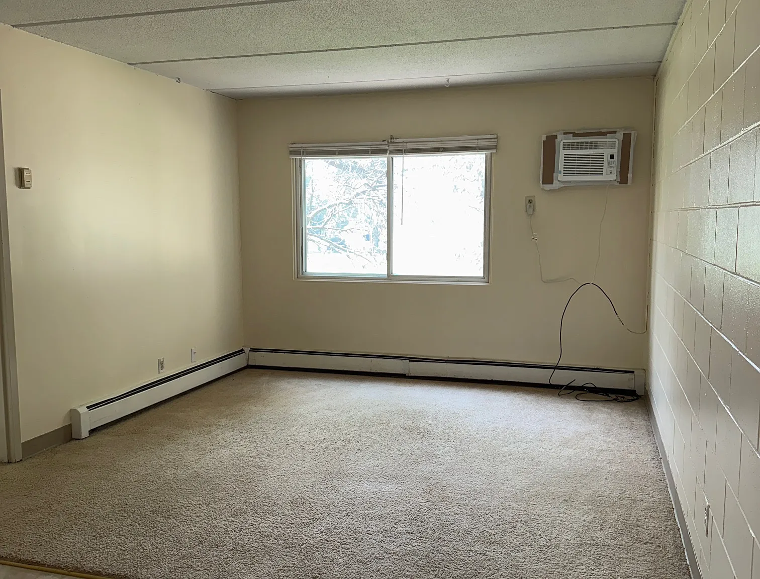 1 bed, $750 — Photo 4