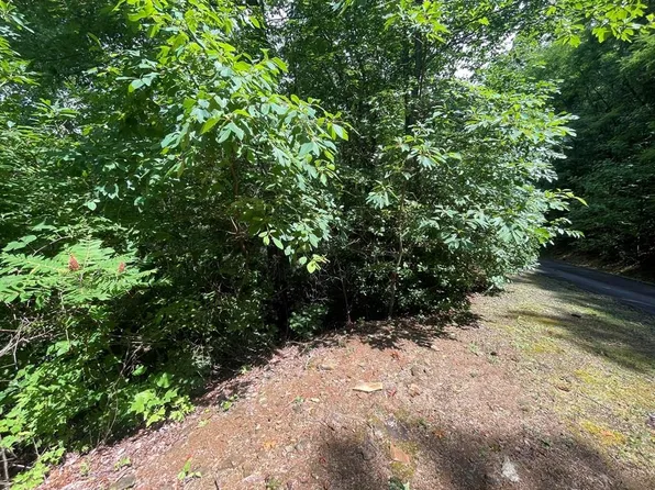 7124 Tantrough Rd, Hiawassee, GA 30546