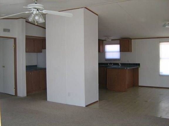 Living-Kitchen Area