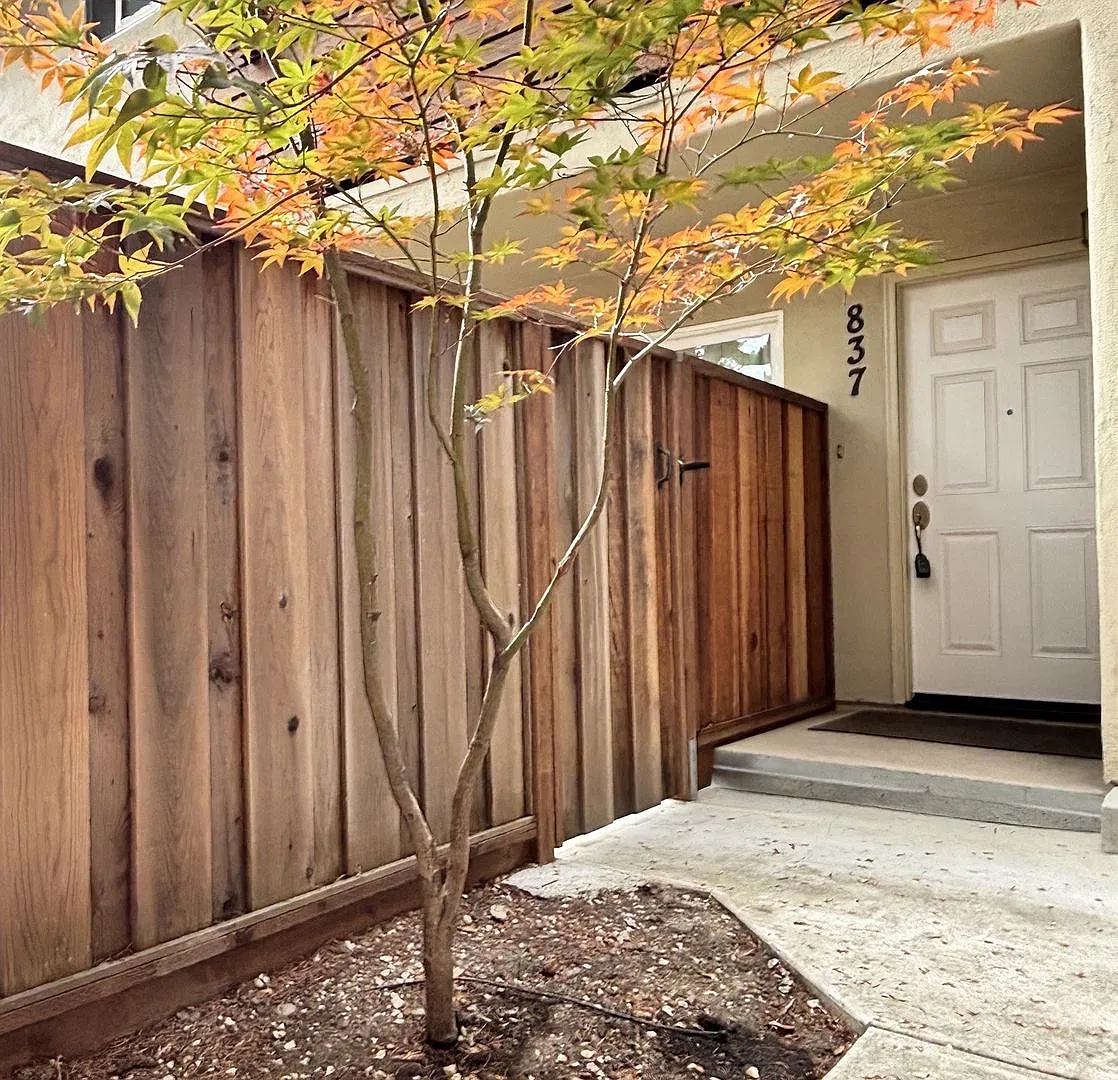 Spacious 2BD/2BA Apartment With Private fenced Yard and In-Unit Laundry in Palo Alto — Photo 3