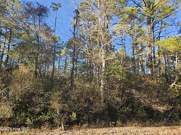 4th image of LOT 68 New Hanover Rd