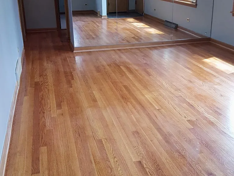 Living Room View-2