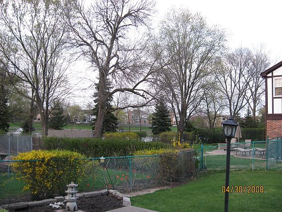 Open Back Yard w/view