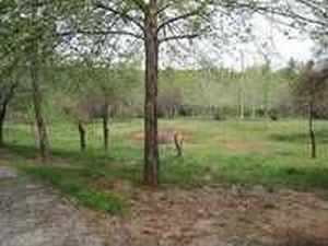7111 Dogwood Dr, Oklahoma City, OK, 73150