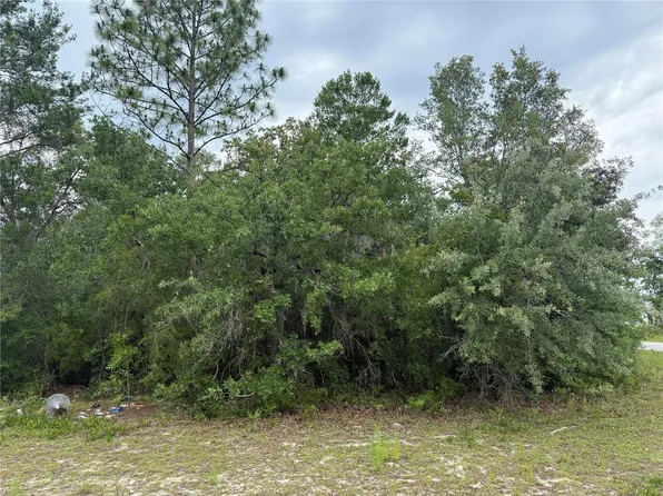 0 SW 138th Ln, Ocala, FL 34473