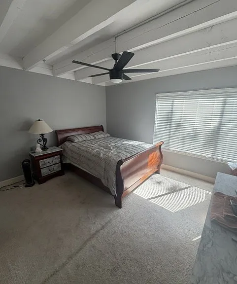 159 Holly Ln — Photo 10