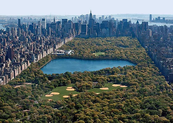 Rented by Camhi NYC Realty Inc | media 30