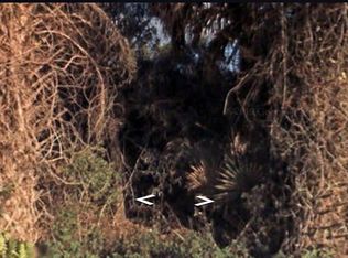 1875 Stone Rd, Pierson, FL 32180