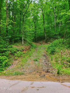 2065 Dyer Hollow Rd, Mohawk, TN, 37810