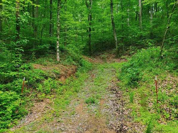 2065 Dyer Hollow Rd, Mohawk, TN 37810