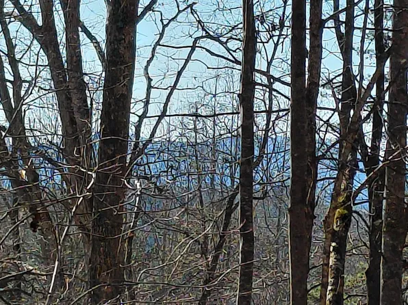 480 Calebs Way, Franklin, NC 28734