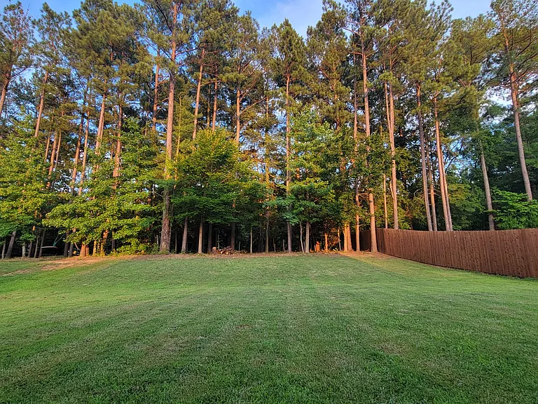 107 Walnut Crossing Dr — Photo 5