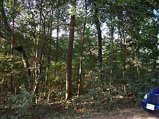 2nd image of 460 Washboard Rd