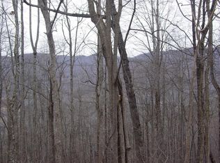 16 Roaring Rdg, Hiawassee, GA 30546