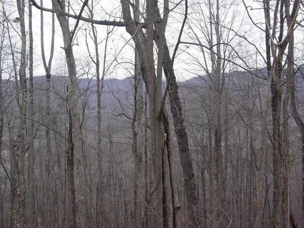 16 Roaring Rdg, Hiawassee, GA 30546