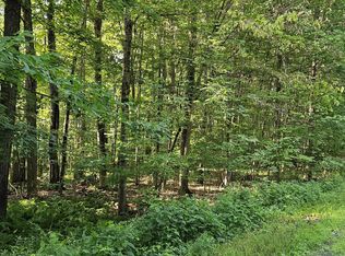 L-68.3 Bumphill Rd, Greenfield Center, NY 12833