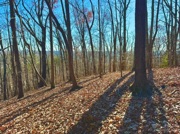 0 Hague Dr, Columbus, NC 28722