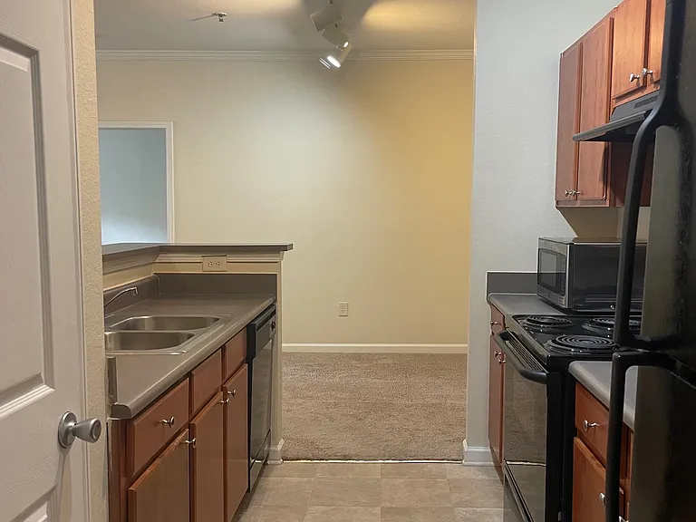 900 Vista Lake Dr #201 — Photo 3