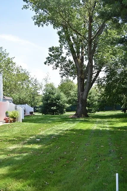 2 bed, 1.5 bath, 1300 sqft, $3,300 — Photo 3