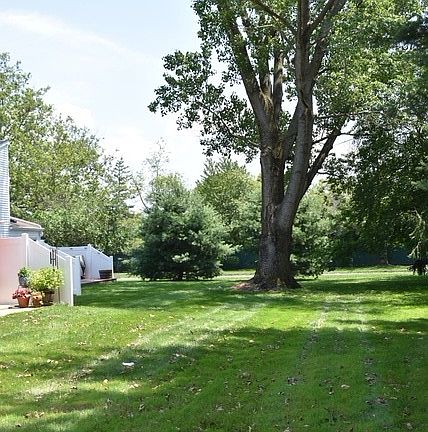 Rear yard