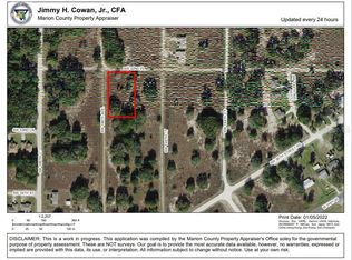 TBD SW 146TH AVENUE LOT 12, OCALA, FL 34481